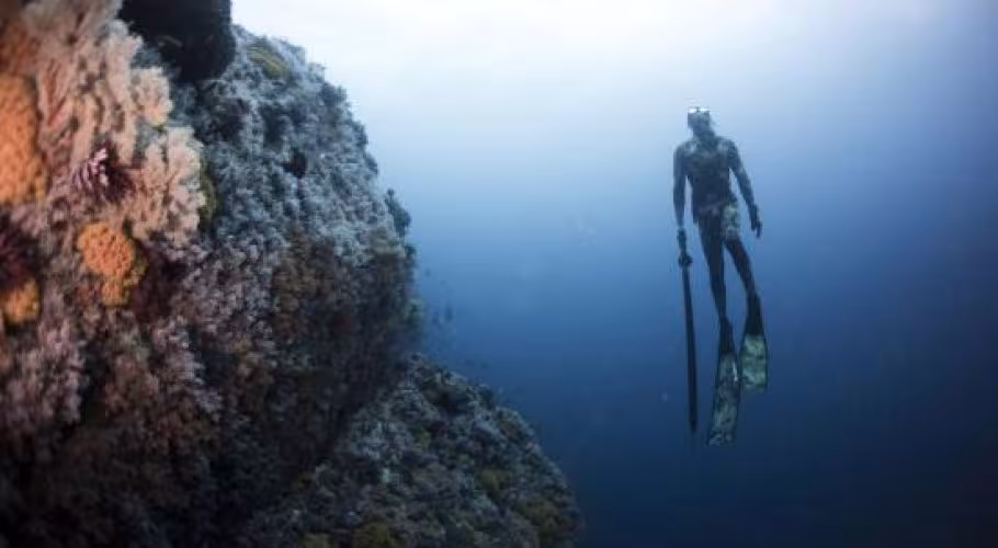 Magic Mountain Sumba Magic Mountain Diving Site in Sumba Magic Mountain Sumba Magic Mountain Diving Site in Sumba